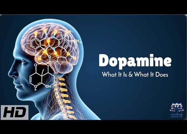 Dopamine Explained: How It Controls Your Brain's Reward System!